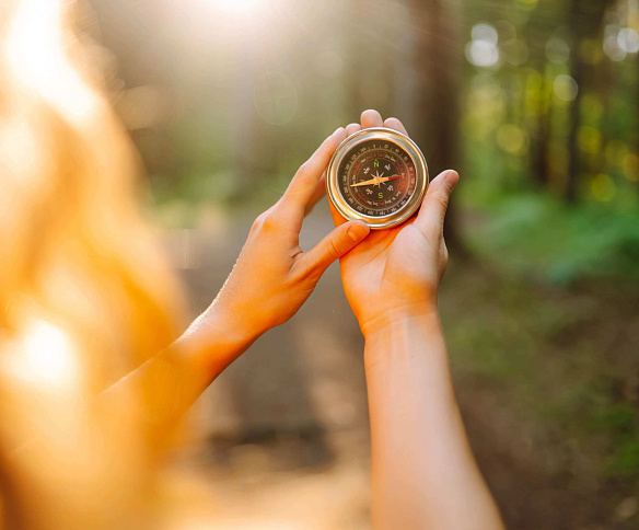 Определены финалистки конкурса «Деловые женщины 2026»